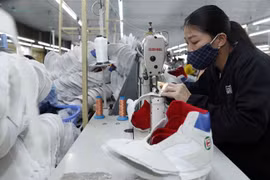 Việt Nam giữ vai trò quan trọng trong chuỗi cung ứng của Adidas, Nike