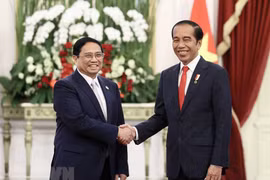 Việt Nam-Indonesia phát huy hiệu quả các cơ chế hợp tác song phương