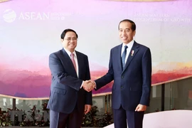 Nhà báo Indonesia đề cao chính sách 'ngoại giao cây tre' của Việt Nam