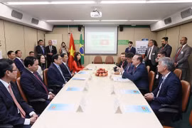 Thủ tướng tiếp Chủ tịch Nhóm Nghị sỹ Hữu nghị Brazil-Việt Nam