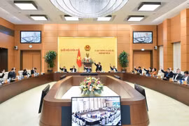 Ủy ban Thường vụ Quốc hội biểu quyết thông qua. (Ảnh: Doãn Tấn/TTXVN)