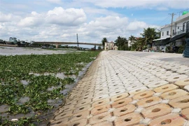 Tiền Giang nỗ lực giải ngân 100% vốn đầu tư công vào cuối năm 