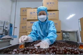 Dự báo tăng trưởng lợi nhuận doanh nghiệp dược giảm tốc trong 2023