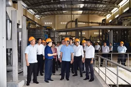 Long An: Công khai giải pháp xử lý dự án Nhà máy bột giấy Phương Nam