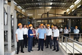 Long An: Công khai giải pháp xử lý dự án Nhà máy bột giấy Phương Nam