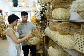 Dự án USAID LinkSME hỗ trợ doanh nghiệp nhỏ và vừa của Việt Nam