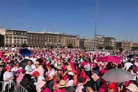 Hàng triệu người tuần hành phản đối dự luật cải cách bầu cử ở Mexico