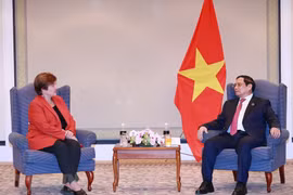 IMF: Việt Nam là ngôi sao sáng trên bầu trời kinh tế thế giới