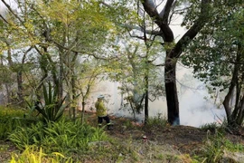 Australia: 75 vụ cháy xảy ra trong một ngày tại New South Wales 