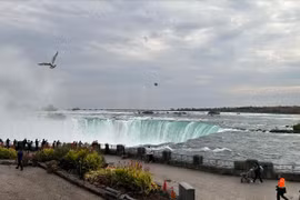 Vẻ đẹp của Niagara - cửa ngõ giao thương chính giữa Canada và Mỹ