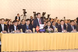 Đoàn đại biểu Việt Nam dự Phiên toàn thể thứ nhất Hội nghị Cấp cao Quốc hội ba nước Campuchia-Lào-Việt Nam (CLV) lần thứ nhất. (Ảnh: Doãn Tấn/TTXVN)