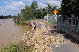 Đánh giá mức độ sạt lở bờ sông, bờ biển 5 tỉnh Đồng bằng sông Cửu Long
