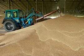 Ảnh minh họa. (Nguồn: Reuters)