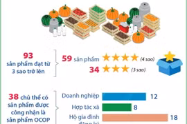 Bắc Ninh: OCOP là động lực phát triển kinh tế nông thôn