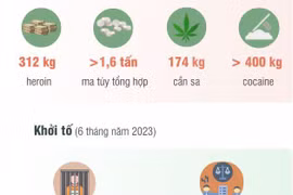 Phát hiện, bắt giữ hơn 13.000 vụ ma túy trong 6 tháng đầu năm