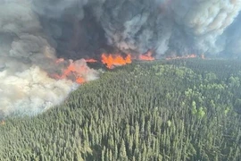 Canada: Thành phố Yellowknife ban bố tình trạng khẩn cấp do cháy rừng