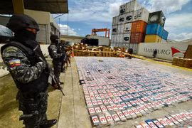 Ecuador thu gần 9 tấn ma túy giấu trong container chuối chuyển tới Bỉ 