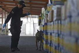 Ecuador thu giữ gần 14 tấn ma túy vận chuyển tới Trung Mỹ, Mỹ, châu Âu