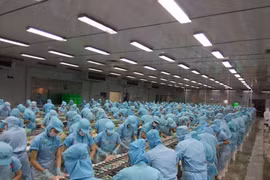 An Giang sẽ hỗ trợ khoảng 20 dự án, ý tưởng khởi nghiệp đến 2025