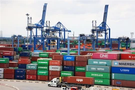 Sớm xử lý tình trạng ùn ứ giao thông và hàng hóa tại Cảng Cát Lái