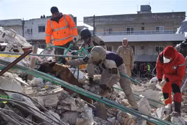 Động đất tại Thổ Nhĩ Kỳ, Syria: Việt Nam sẵn sàng bảo hộ công dân 