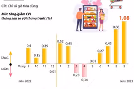 Chỉ số giá tiêu dùng tháng 9 tăng 1,08% so với tháng trước 