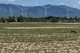 Việt Nam loại trừ nhiều chất làm suy giảm tầng ozone từ năm 2024