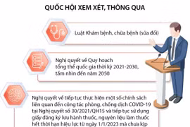 Những nội dung chính của Kỳ họp bất thường lần thứ 2, Quốc hội khóa XV