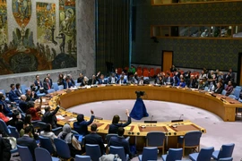 Quang cảnh phiên họp Hội đồng Bảo an ở New York, Mỹ ngày 14/12/2023. (Ảnh: THX/TTXVN)