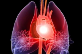 Phát hiện ra cơ chế liên quan đến sự co cứng của cơ tim