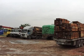 Hải Dương: Bắt được cả đoàn xe chở quá tải trên 200% 