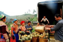 Những nông dân Mông tỷ phú nơi phên giậu của Tổ Quốc 