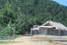 Người dân sinh sống dọc tuyến đường cao tốc Nội Bài-Lào Cai tự ý phá hàng rào, gây ảnh hưởng đến an toàn giao thông. (Ảnh: Việt Hùng/Vietnam+)