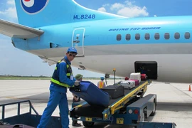 Nhân viên bốc dỡ hành lý của hành khách tại sân bay Nội Bài. (Ảnh: Việt Hùng/Vietnam+)