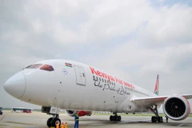 Lần đầu tiên trong lịch sử, một đường bay thẳng từ Châu Phi tới Việt Nam đã được thiết lập.(Ảnh: Võ Phương/Vietnam+)