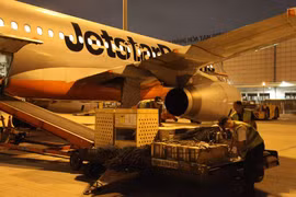 Vận chuyển chim trời và các loài động vật quý hiếm ra đảo Phú Quốc. (Ảnh: Jetstar cung cấp)