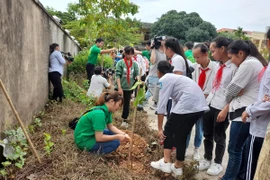 Lễ phát động trồng cây xanh đô thị ở huyện Ứng Hòa, thành phố Hà Nội. (Ảnh: Hùng Võ/Vietnam+)