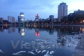 Ảnh chỉ có tính chất minh họa. (Nguồn: Vietnam+) 