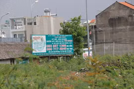 (Ảnh minh họa: Trần Xuân Tình/TTXVN)