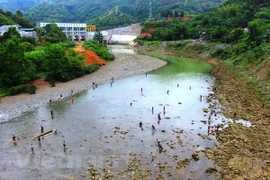 Ảnh chỉ có tính chất minh họa. (Nguồn: Hùng Võ/Vietnam+) 