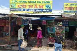 Hoạt động buôn bán động vật hoang dã diễn ra phổ biến ở chợ nông sản Thạnh Hóa, tỉnh Long An. (Ảnh: H.V/Vietnam+)