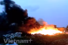 Ảnh minh họa. (Ảnh: CTV/Vietnam+)