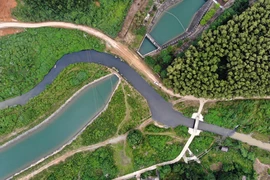Ảnh minh họa. (Nguồn: Vietnam+) 