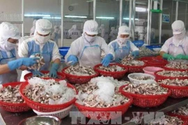 Ảnh minh họa. (Nguồn: TTXVN).