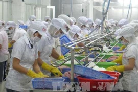 Ảnh minh họa. (Ảnh: Minh Trí/TTXVN).