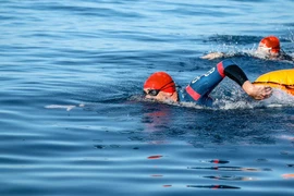 Hệ thống thi đấu của giải bơi biển Quốc tế lớn nhất thế giới OCEANMAN đã tổ chức 27 giải thi đấu tại 23 quốc gia. (Ảnh: Oceanman) 