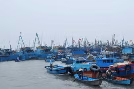 Ảnh minh họa. (Nguồn: TTXVN)