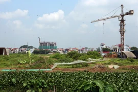 Ảnh minh họa. (Nguồn: TTXVN)