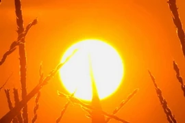 Phát hiện những phân tử giúp đo hoạt động ở lõi Mặt Trời