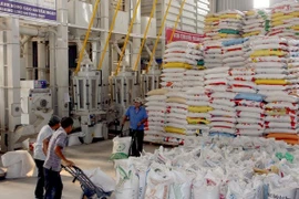 Đẩy mạnh hoạt động xuất khẩu gạo tại thị trường truyền thống